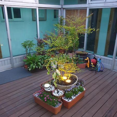 Dal Garam Guesthouse Gangneung Exterior photo