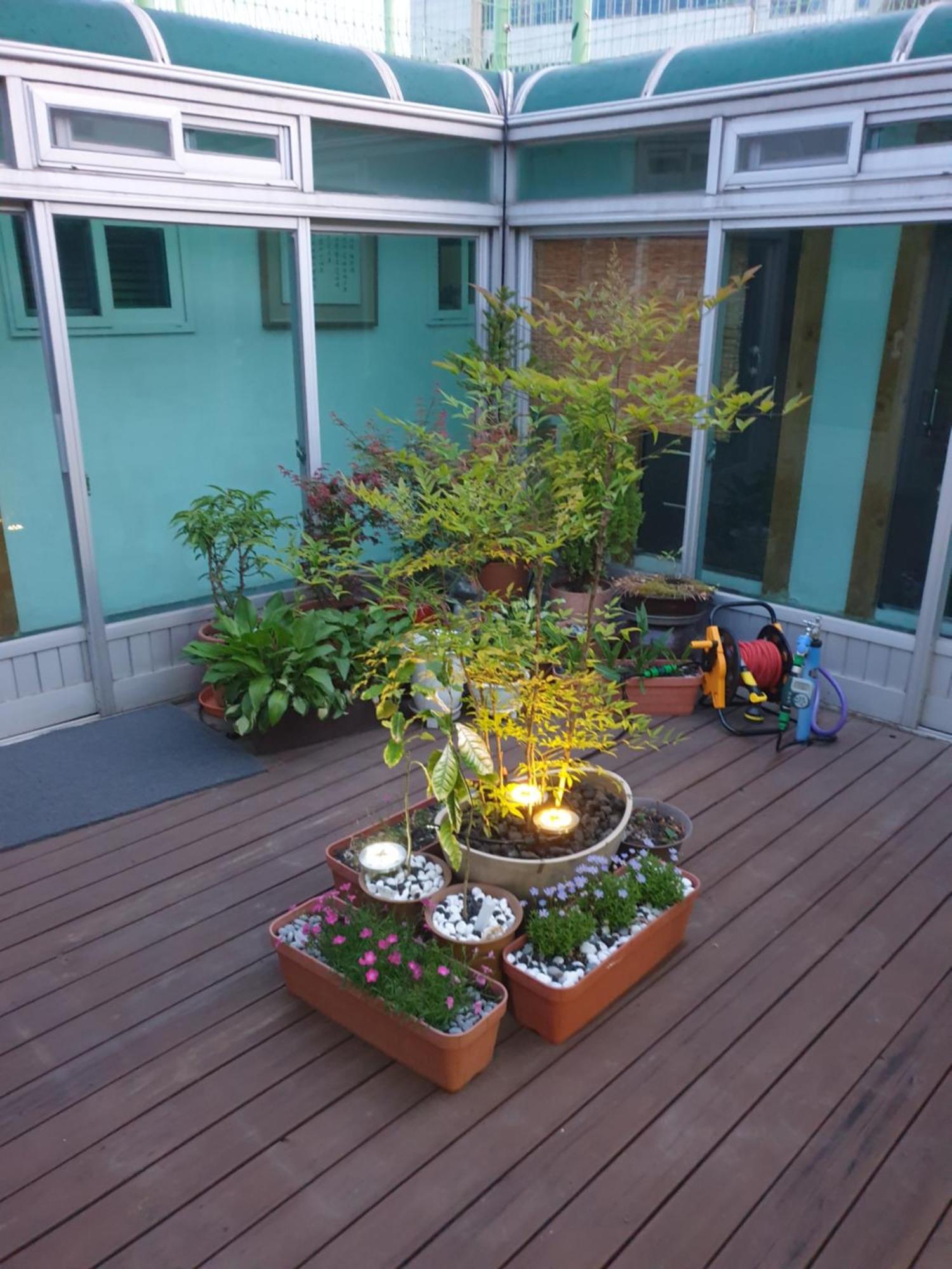 Dal Garam Guesthouse Gangneung Exterior photo